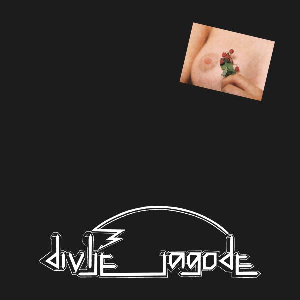 DIVLJE JAGODE – DIVLJE JAGODE (LP)